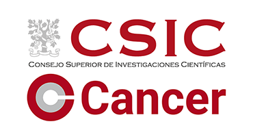 Logo Consejo Superior de Investigaciones Científicas - Conexión Cáncer